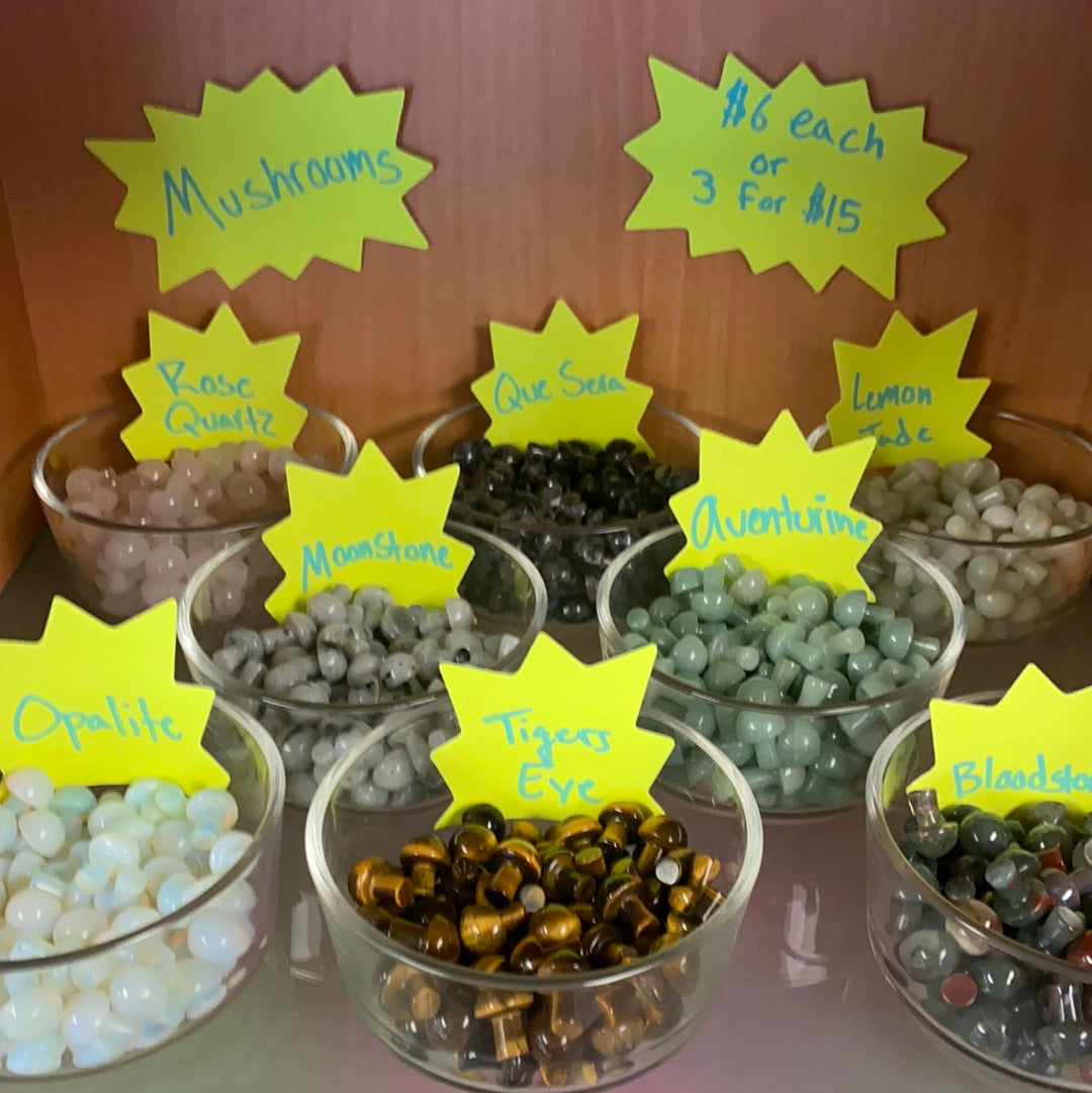 Mushrooms 3 for $15 MMM